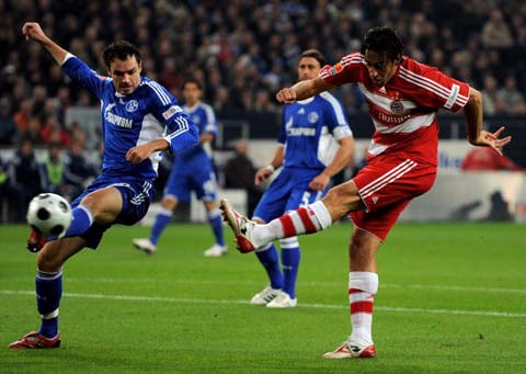 和谐共处 和谐共处